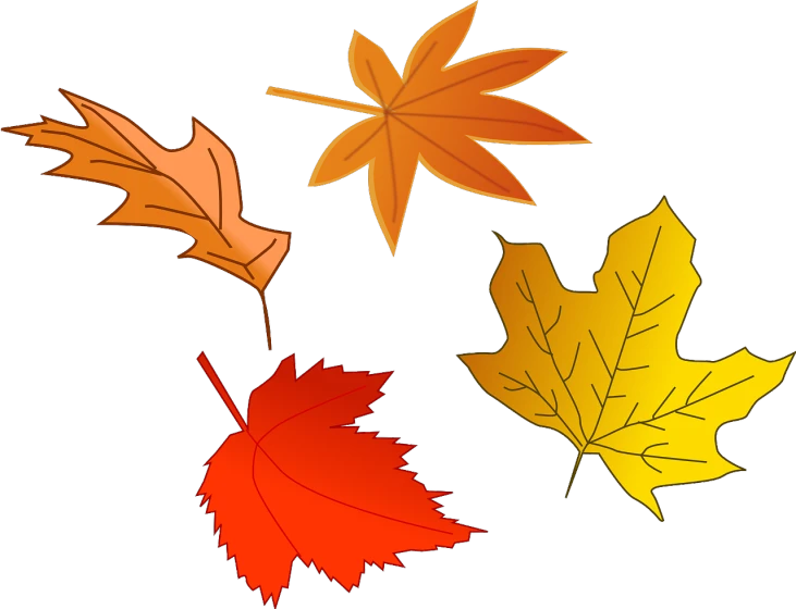 three different colored leaves on a white background, an illustration of, pixabay, sōsaku hanga, fall leaves on the floor, illustration:.4, red-yellow colors, four