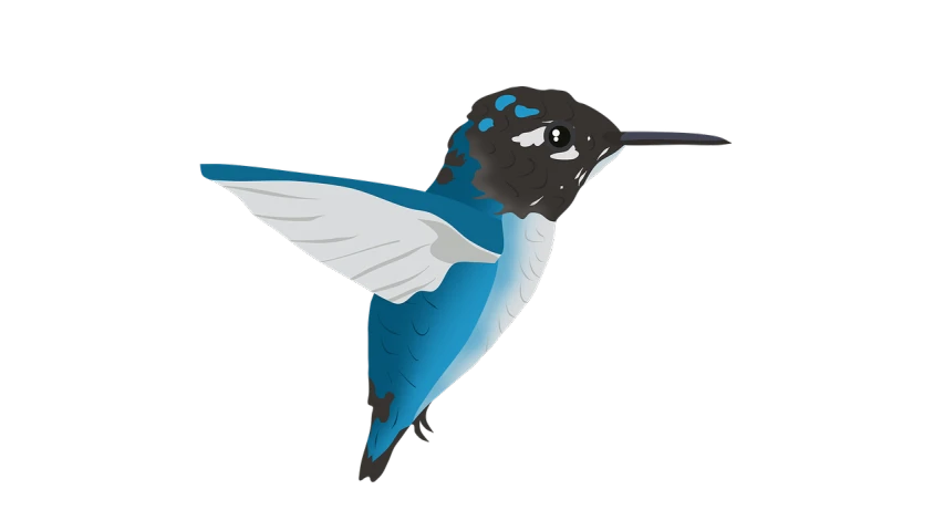 a blue and white bird flying through the air, an illustration of, hurufiyya, sharp focus vector centered, blue and black, bee hummingbird, bioluminescent skin!