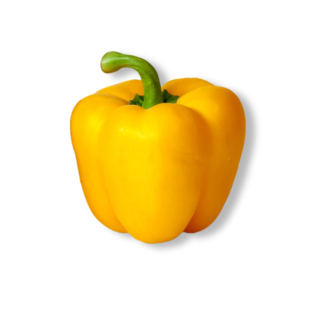 a yellow bell pepper on a black background, renaissance, full color, full-color, the background is black, monitor