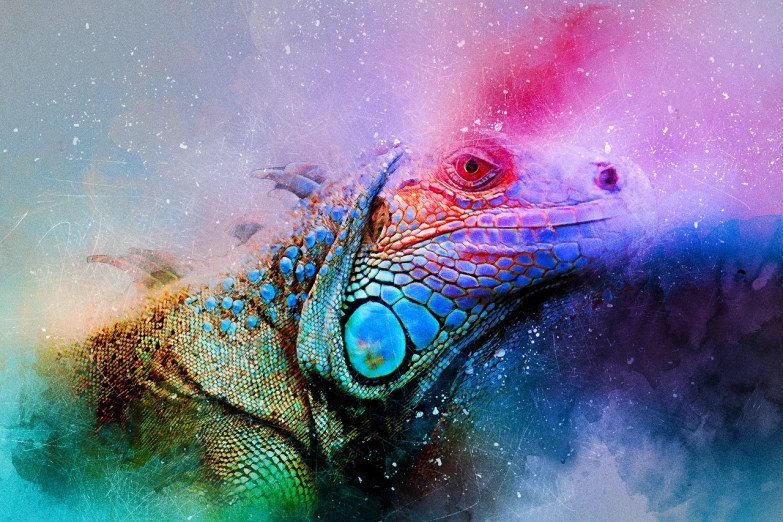 a close up of an iguana on a colorful background, an airbrush painting, by Adam Marczyński, trending on pexels, pink and blue and green mist, photomanipulation, mixed media photography, beautiful