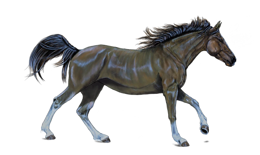 a close up of a horse on a black background, inspired by John Frederick Herring, Jr., featured on zbrush central, digital art, galloping, from kehinde wiley, ultrafine detail ”, silver eyes full body