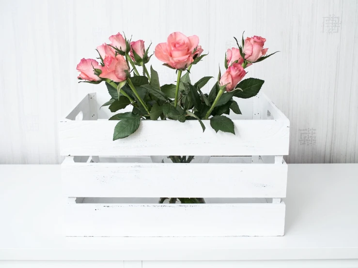 a white wooden crate with pink roses in it, inspired by Władysław Podkowiński, shutterstock, indoor scene, decorative, leon tukker, simple design