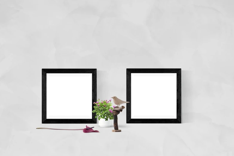 a couple of picture frames sitting on top of a table, a minimalist painting, postminimalism, miniature product photo, mouse photo, flower frame, white marble interior photograph