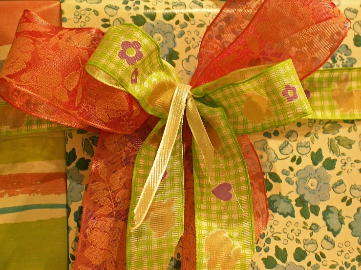 a close up of a piece of fabric with a bow, by Susan Heidi, flickr, birthday wrapped presents, green and warm theme, illinois, huge!!!