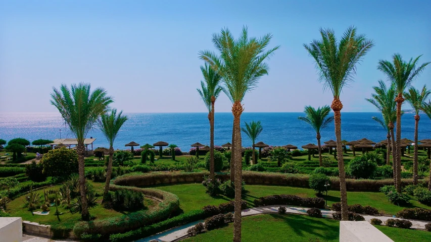 a number of palm trees near a body of water, by Youssef Howayek, photostock, green terrace, from egypt, ocean view