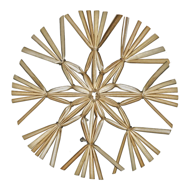 a close up of a snowflake on a black background, a microscopic photo, hurufiyya, made of bamboo, an unknown ethnographic object, round design, panels