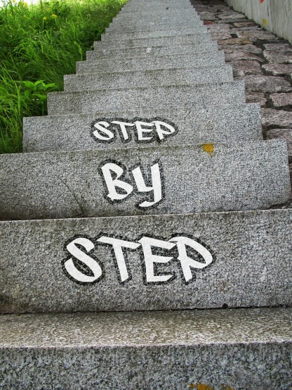 a set of stairs with the words step by step written on them, a photo, pixabay, acrylic, -step 50, outdoor photo, homemade