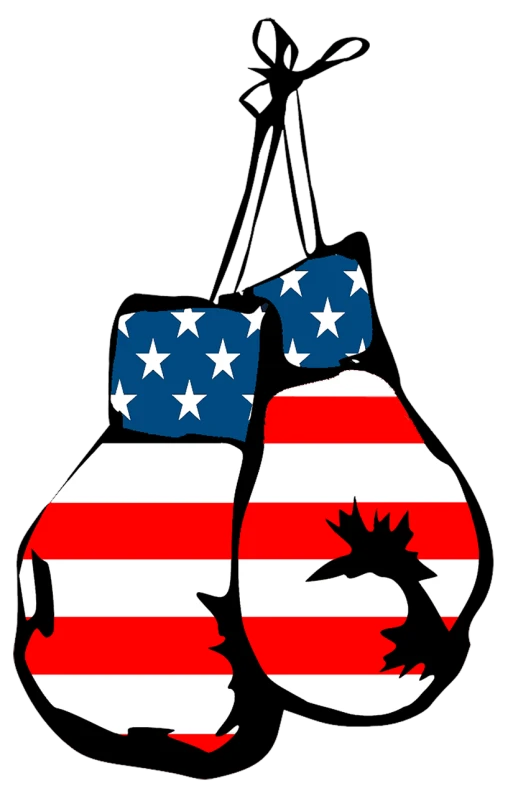 a pair of boxing gloves with the american flag on them, by Allen Jones, american realism, siluettes, bag, fighting game, profile pic