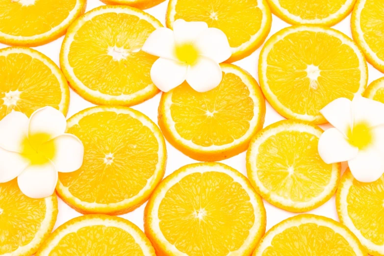 a close up of orange slices with a flower on top, a stock photo, minimalism, full of colour 8-w 1024, yellow wallpaper, background is white, plumeria