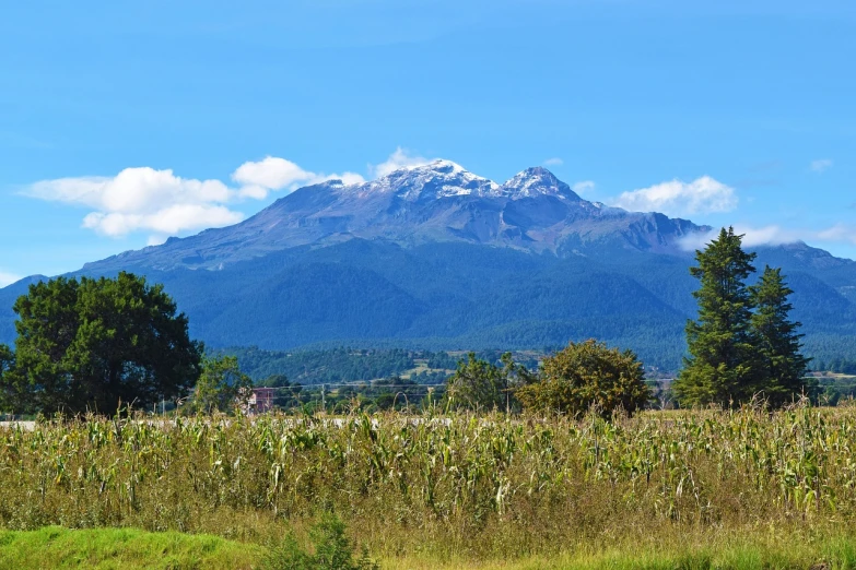 a large mountain towering over a corn field, a picture, by Lucebert, pixabay, mount olympus, volcanoes in the background, cam de leon, panorama