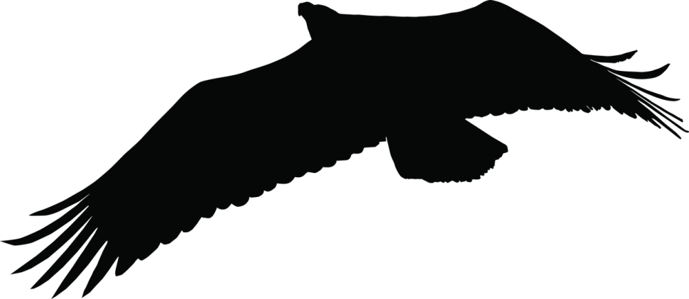 a silhouette of a bird flying in the dark, lineart, inspired by Pierre Soulages, deviantart, hurufiyya, subreddit / r / whale, half crocodile, zoomed out shot, jet - black skin