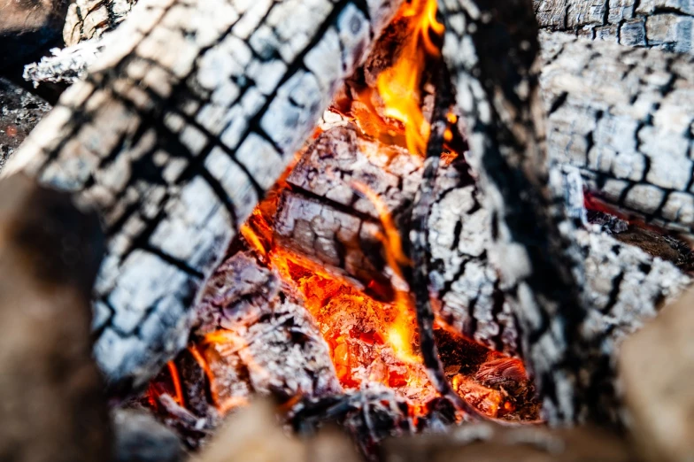 a close up of a fire that is burning, by Jacob Kainen, winter sun, smouldering charred timber, shot on nikon z9, menacing!