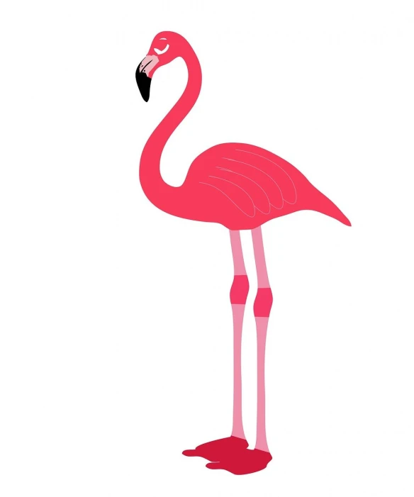 a pink flamingo standing in front of a white background, an illustration of, tall thin, two legged with clawed feet, red colored, created in adobe illustrator