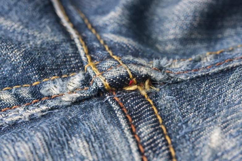 a bug that is sitting in the pocket of a pair of jeans, pexels, sōsaku hanga, seams stitched tightly, high detail 4 k, tattered, 4 0 9 6
