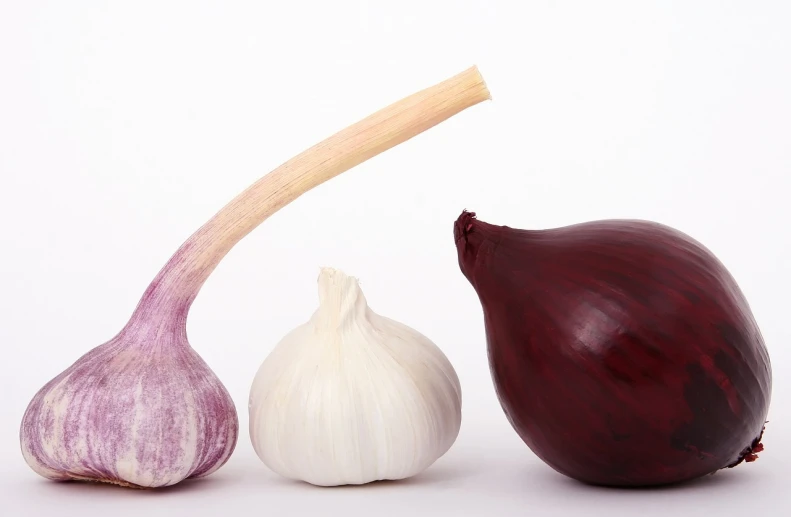 a couple of onions and a bulb of garlic, maroon and white, fart, humus, high res photo