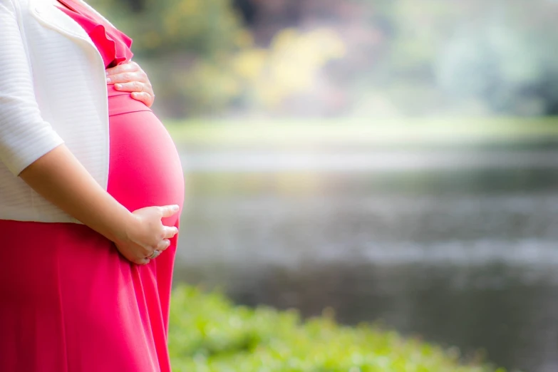 a pregnant woman standing in front of a body of water, by Juan O'Gorman, pixabay, pink and red color scheme, istockphoto, family photo, banner