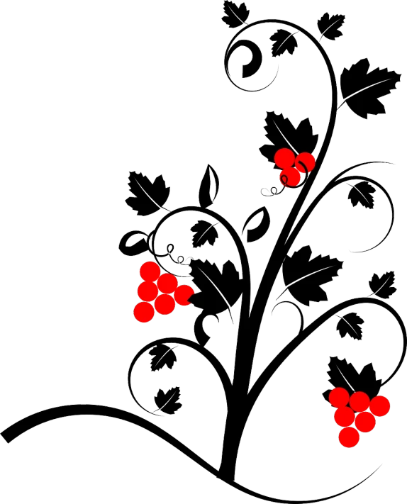 a plant with red berries on a black background, a digital rendering, by Andrei Kolkoutine, arabesque, vineyard, vector line art, background is heavenly, without text