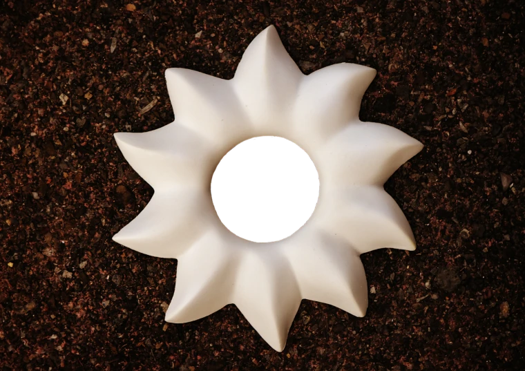 a white object with a black hole in it, inspired by Georgia O'Keeffe, art deco, sunflower, serrated point, very sharp and detailed photo, soil