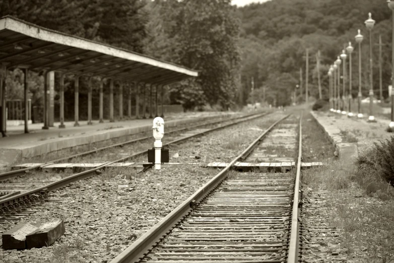 a black and white photo of a train station, a portrait, inspired by Alfred Eisenstaedt, flickr, regionalism, looking over west virginia, sepia toned, detailed medium format photo, desolate :: long shot