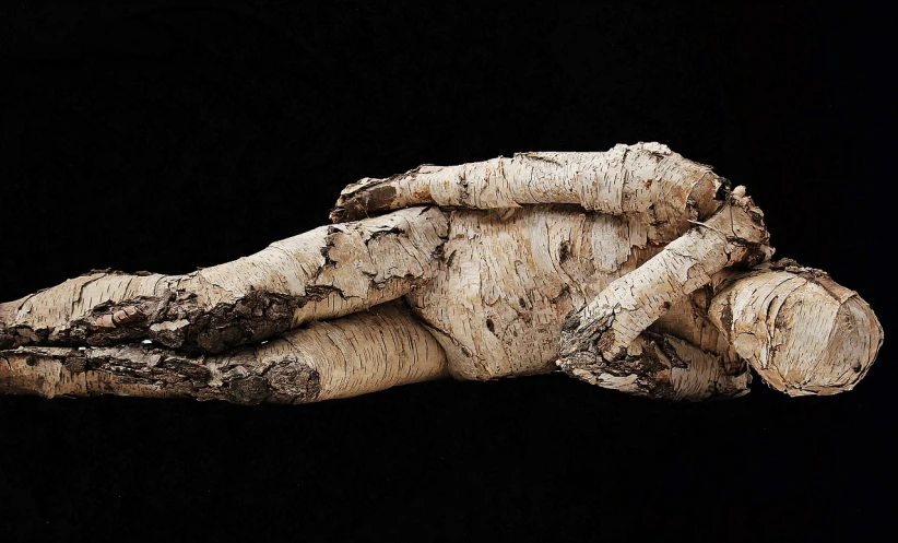 a close up of a piece of wood on a black background, by Anna Füssli, flickr, hyperrealism, limbs made from vines, birch, wrapped arms, lying down