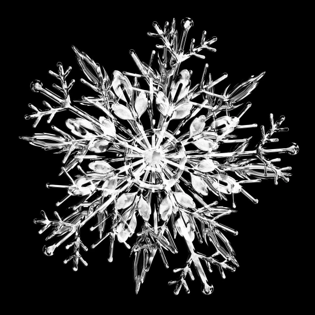 a black and white photo of a snowflake, a digital rendering, by Jon Coffelt, on black background, top angle view, transparent crystal, top down view