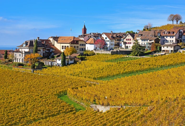 a group of houses sitting on top of a lush green hillside, by Karl Stauffer-Bern, shutterstock, colorful vines, autum, “ golden chalice, cane