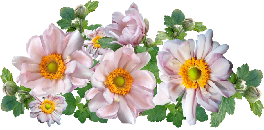 a bouquet of pink flowers with green leaves, a digital rendering, inspired by Frederick Goodall, pixabay, anemones, panoramic, lined up horizontally, front facing!!!!