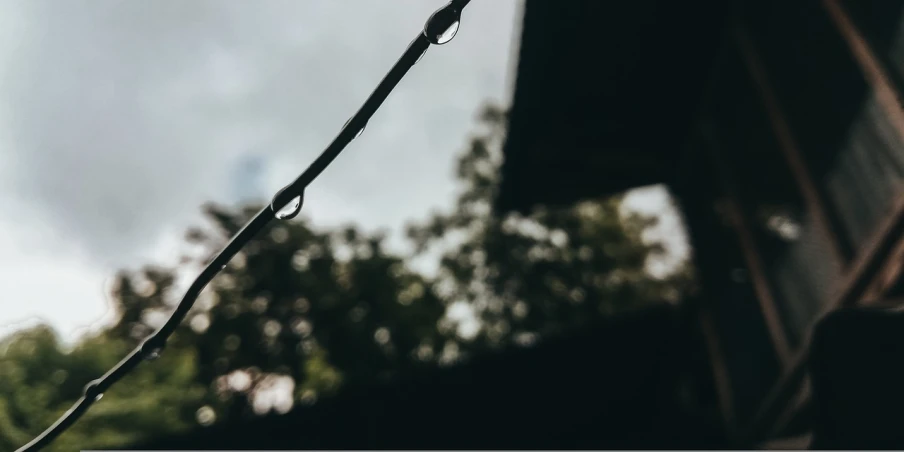 a bird sitting on top of a tree branch, inspired by Elsa Bleda, unsplash, minimalism, window ( rain ), attached to wires. dark, tear drop, seen from below