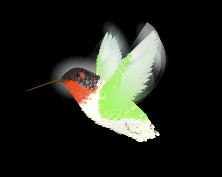 a bird that is flying in the air, an illustration of, hurufiyya, translucidluminescence, with a white muzzle, scarlet emerald, has a very realistic look to it