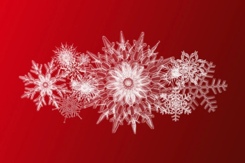 a bunch of snowflakes on a red background, a digital rendering, inspired by Arthur Burdett Frost, generative art, intricate ornament halo, ice sunflowers, gradient white to red, intricate details illustration