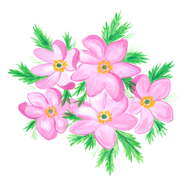 a bunch of pink flowers with green leaves, inspired by Katsushika Ōi, flickr, naive art, anemones, bright on black, harry volk clip art style, accurate detail