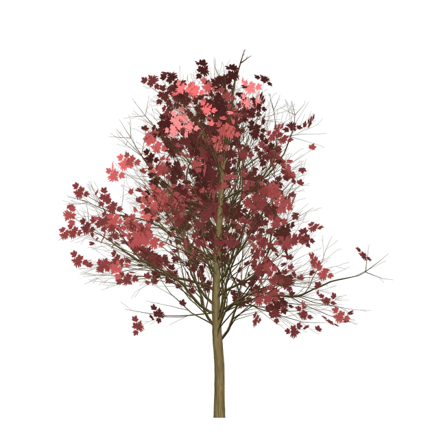 a tree with pink flowers on a black background, a raytraced image, polycount, generative art, - h 1 0 2 4, faded red colors, comprehensive 2 d render, birds on cherry tree