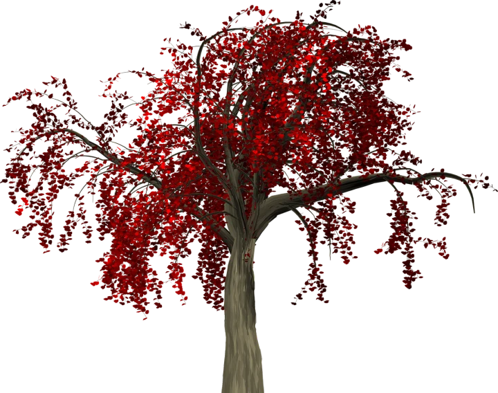 a tree with red leaves on a black background, a raytraced image, inspired by Edgar Schofield Baum, imvu, persephone, beautiful composition 3 - d 4 k, draped with red hybiscus