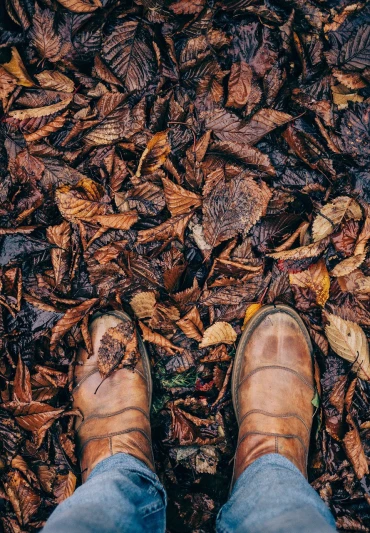 a person standing on top of a pile of leaves, inspired by Andy Goldsworthy, pexels, leather boots, detailed texture, just after rain, flat color