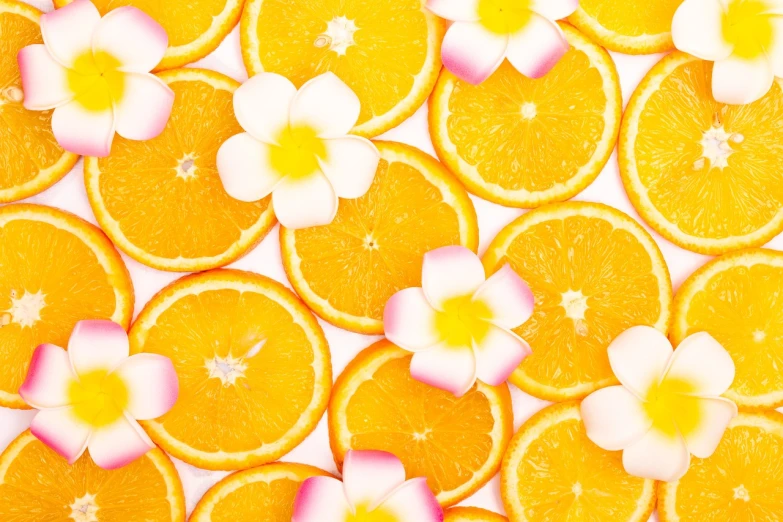 a bunch of orange slices with flowers on them, by Tadashi Nakayama, shutterstock contest winner, minimalism, plumeria, cells, full of colour 8-w 1024, suns