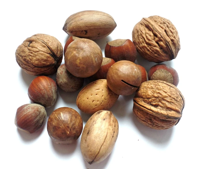 a pile of nuts sitting on top of a white table, by Josef Navrátil, diverse species, bottom view, 2 1 0 mm, high grain