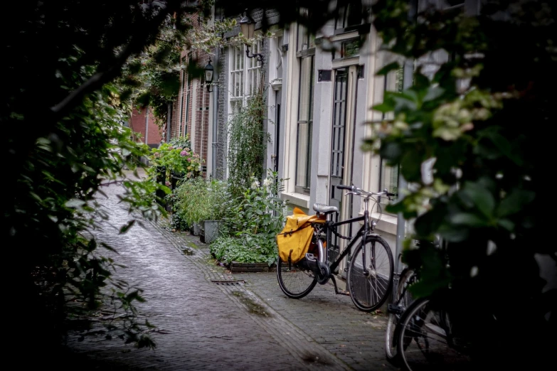 a couple of bikes parked next to a building, by Daniel Seghers, after the rain, narrow passage, the yellow creeper, dutch