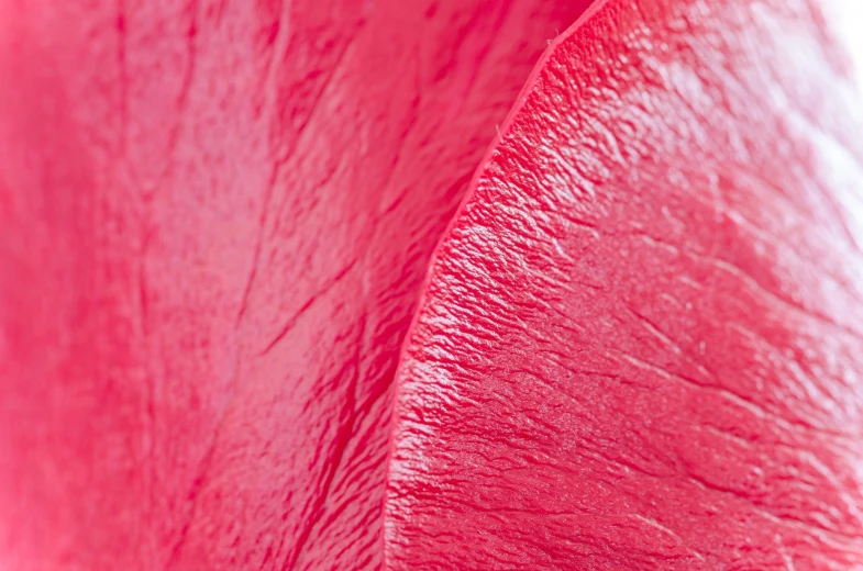 a close up of a red leather material, a macro photograph, fine art, pink petals, close-up product photo, gills, bougainvillea