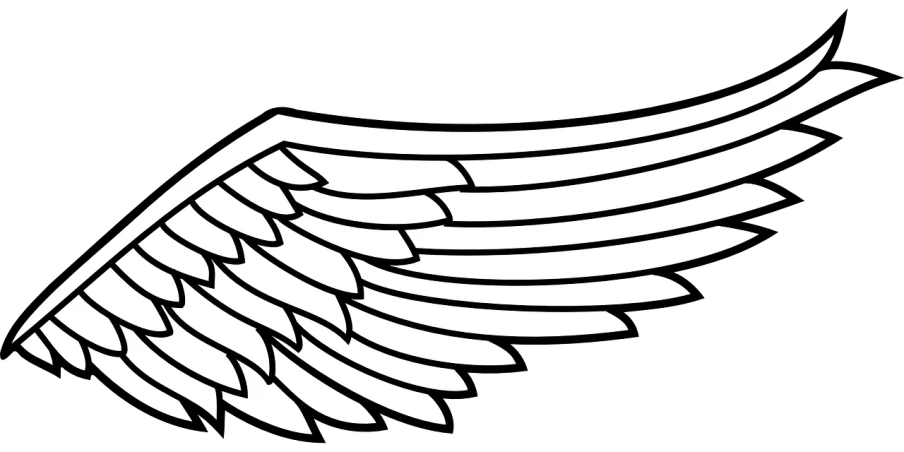 a black and white image of a wing, lineart, inspired by Kōno Michisei, trending on pixabay, amoled wallpaper, flag, uniform background, archangel