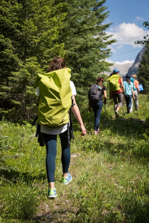 a group of people with backpacks walking on a trail, a picture, by Erwin Bowien, shutterstock, figuration libre, wearing green clothing, close - up photo, adrien girod, camp