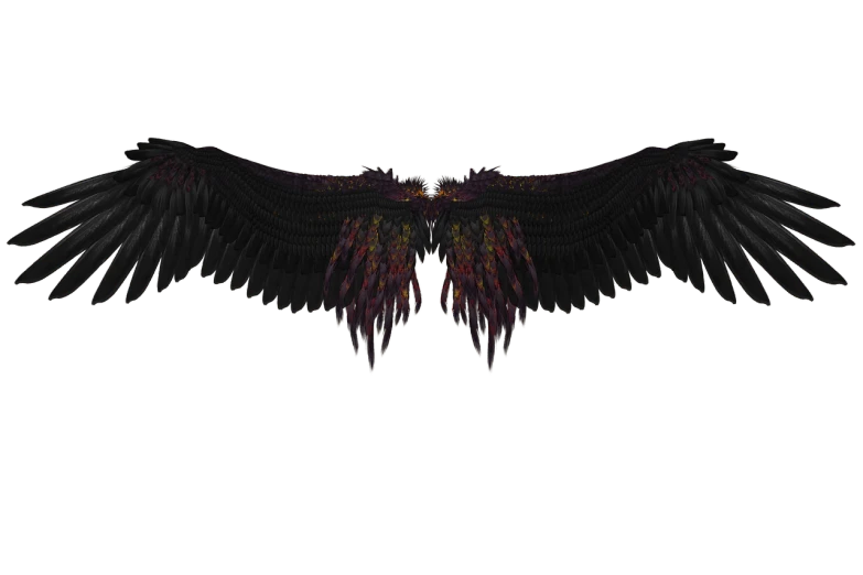 a bird that is flying in the air, a 3D render, baroque, bladed wings lace wear, dark rainbow nimbus, rendered in 32k huhd, ancalagon the black