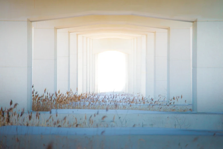 a picture of a light at the end of a tunnel, digital art, inspired by Ricardo Bofill, light and space, white stone arches, field of depth, shot in canon 50mm f/1.2, studio ghibli sunlight