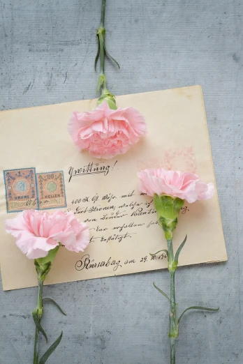 three pink carnations sitting on top of a piece of paper, a pastel, mail art, german romanticism style, perfect letters, closeup photo, with flowers