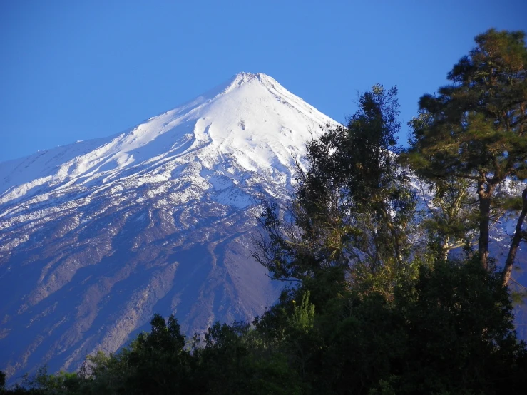 a snow covered mountain with trees in the foreground, a photo, by Lee Loughridge, flickr, hurufiyya, volcano setting, extremely clear and coherent, cane, giant imposing mountain