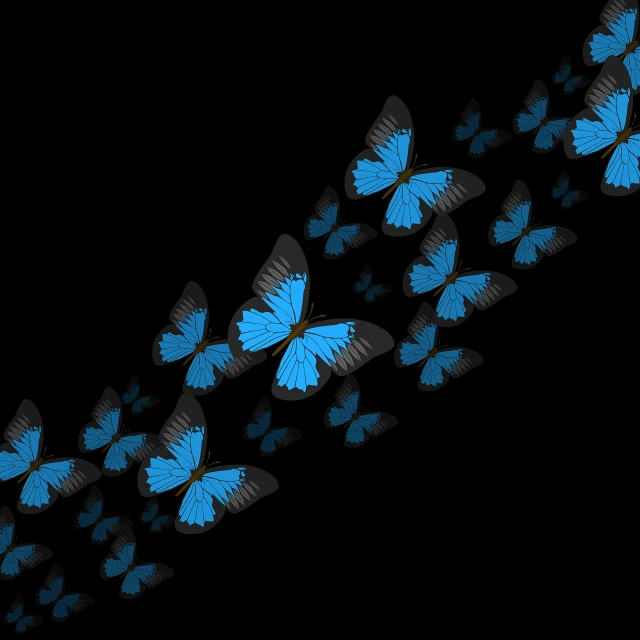 a group of blue butterflies flying through the air, an illustration of, hurufiyya, on black background, illustration, journey, minimalist wallpaper