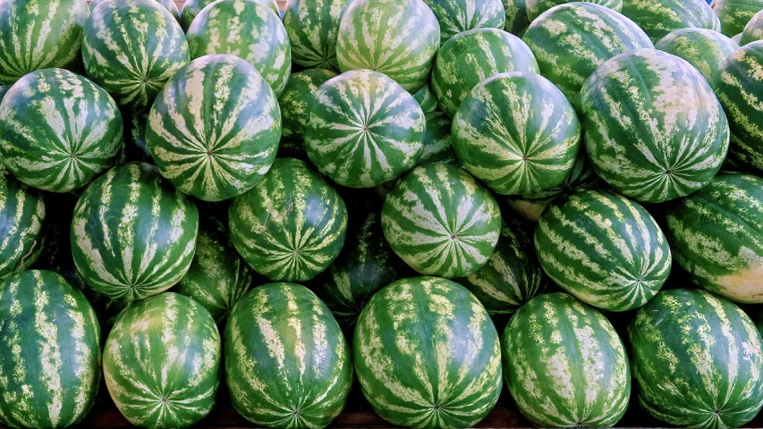 a pile of watermelons sitting on top of each other, a photo, by Jon Coffelt, high quality product image”, high res photo, vibrant patterns, from wheaton illinois