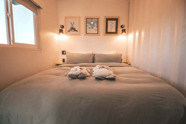 a bed with two stuffed animals on top of it, by Raphaël Collin, unsplash, interior of a small, neutral flat lighting, indoor picture, full-body view