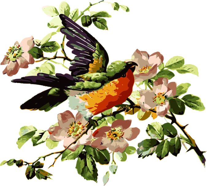 a painting of a bird sitting on a branch of a tree, a digital painting, inspired by John James Audubon, arabesque, beautiful flowers, black velvet painting, bird\'s eye view, vintage - w 1 0 2 4