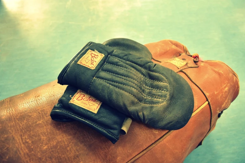 a pair of gloves sitting on top of a piece of luggage, by Andrée Ruellan, flickr, retro vintage, boxer, leather and suede, mittens