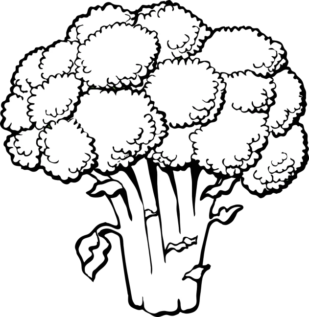 a black and white picture of a piece of broccoli, lineart, inspired by Masamitsu Ōta, pixabay, bouquet, fluffy, rice, computer generated